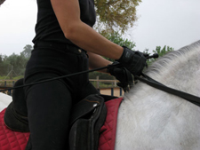 Spain-Southern Spain-Epona Rafael Soto Clinic